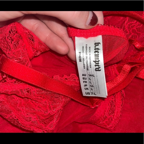 Red Sheer Slip Dress with Red Lace - Picture 5 of 5